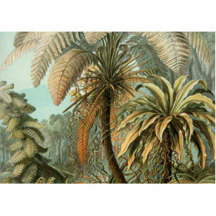 Ferns Palm Tree Antique Botanischer Garten Fotoskulptur Magnet