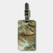 Ferns Palm Tree Antique Botanischer Garten Gepäckanhänger (Vorderseite vertikal)