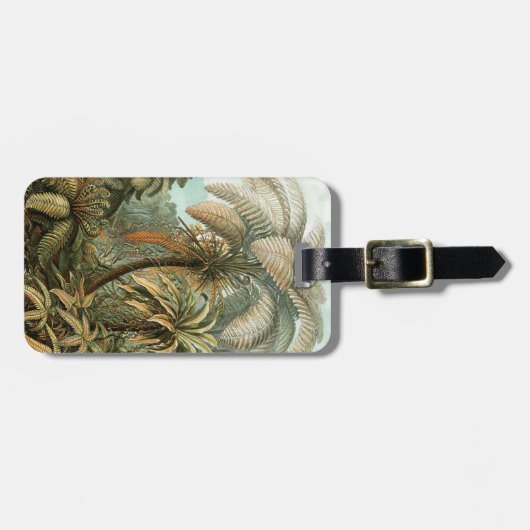 Ferns Palm Tree Antique Botanischer Garten Gepäckanhänger (Vorderseite horizontal)