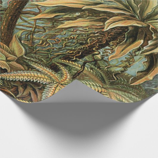 Ferns Palm Tree Antique Botanischer Garten Geschenkpapier (Ecke)