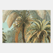 Ferns Palm Tree Antique Botanischer Garten Geschenkpapier Set (Vorderseite 3)