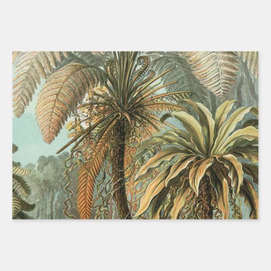 Ferns Palm Tree Antique Botanischer Garten Geschenkpapier Set (Vorderseite 3)