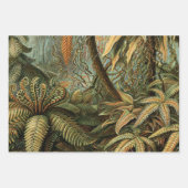 Ferns Palm Tree Antique Botanischer Garten Geschenkpapier Set (Vorderseite 2)