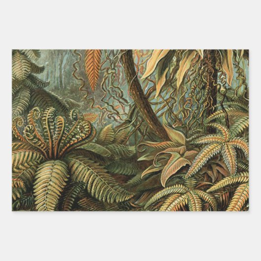 Ferns Palm Tree Antique Botanischer Garten Geschenkpapier Set (Vorderseite 2)