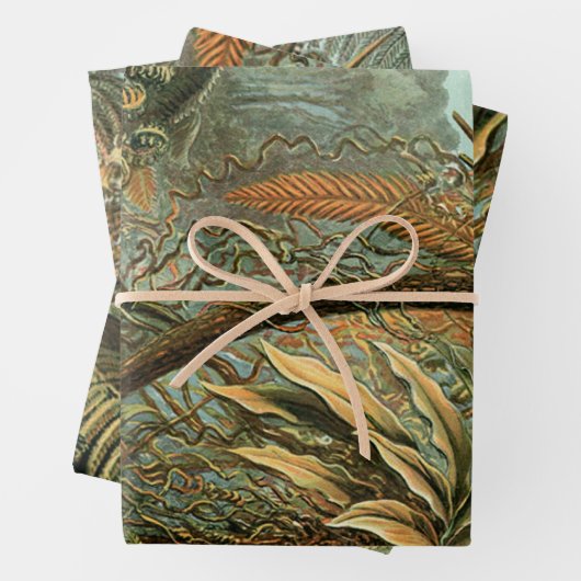 Ferns Palm Tree Antique Botanischer Garten Geschenkpapier Set (Beispiel)