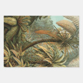 Ferns Palm Tree Antique Botanischer Garten Geschenkpapier Set (Vorderseite)