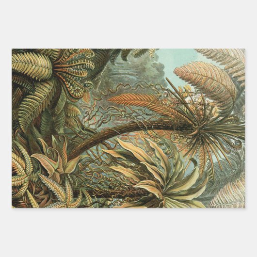 Ferns Palm Tree Antique Botanischer Garten Geschenkpapier Set (Vorderseite)