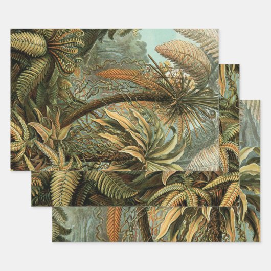 Ferns Palm Tree Antique Botanischer Garten Geschenkpapier Set (Set)