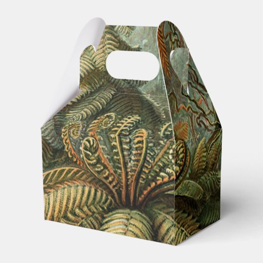 Ferns Palm Tree Antique Botanischer Garten Geschenkschachtel (Rückseite)