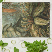 Ferns Palm Tree Antique Botanischer Garten Handtuch (Gefaltet)