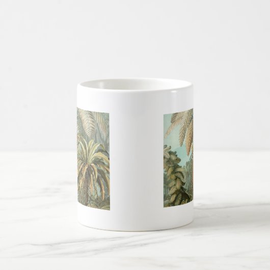 Ferns Palm Tree Antique Botanischer Garten Kaffeetasse (Mittel)