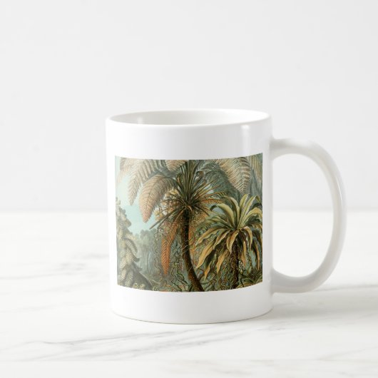 Ferns Palm Tree Antique Botanischer Garten Kaffeetasse (Rechts)