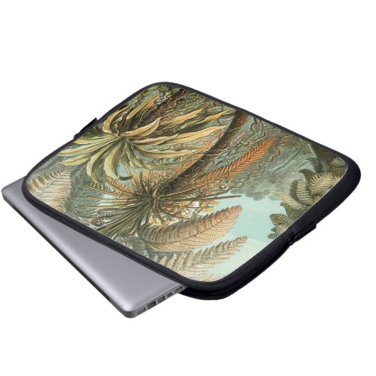 Ferns Palm Tree Antique Botanischer Garten Laptopschutzhülle (Vorne Knopf)
