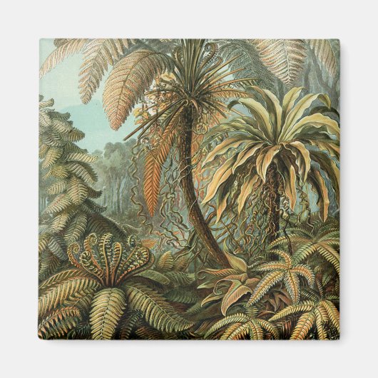 Ferns Palm Tree Antique Botanischer Garten Magnet (Vorne)