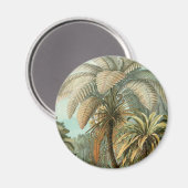 Ferns Palm Tree Antique Botanischer Garten Magnet (Vorderseite/Rückseite)