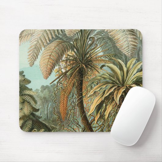 Ferns Palm Tree Antique Botanischer Garten Mousepad (Mit Mouse)
