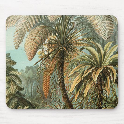 Ferns Palm Tree Antique Botanischer Garten Mousepad (Vorne)