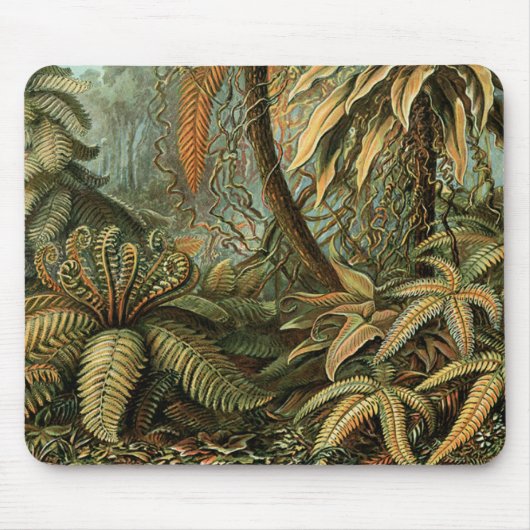 Ferns Palm Tree Antique Botanischer Garten Mousepad (Vorne)