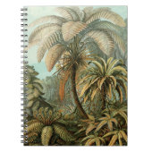 Ferns Palm Tree Antique Botanischer Garten Notizblock (Vorderseite)