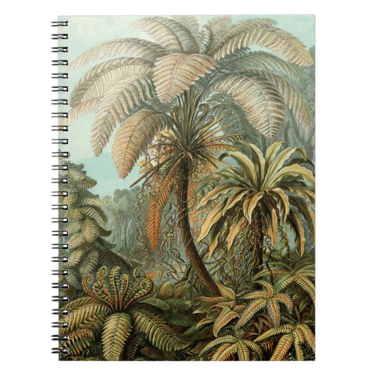 Ferns Palm Tree Antique Botanischer Garten Notizblock (Vorderseite)