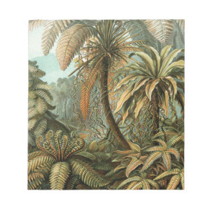 Ferns Palm Tree Antique Botanischer Garten Notizblock