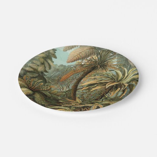 Ferns Palm Tree Antique Botanischer Garten Pappteller (Schrägansicht)