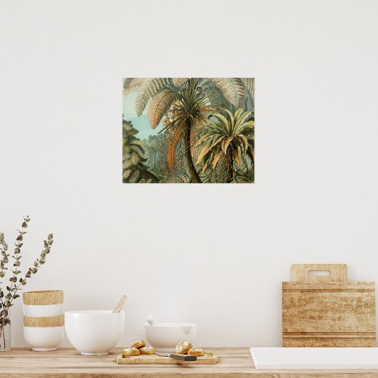 Ferns Palm Tree Antique Botanischer Garten Poster (Küche)