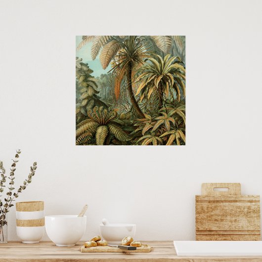 Ferns Palm Tree Antique Botanischer Garten Poster (Küche)
