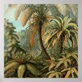 Ferns Palm Tree Antique Botanischer Garten Poster (Vorne)