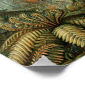Ferns Palm Tree Antique Botanischer Garten Poster (Ecke)