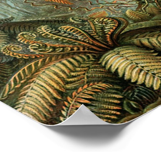 Ferns Palm Tree Antique Botanischer Garten Poster (Ecke)