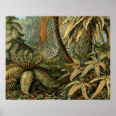 Ferns Palm Tree Antique Botanischer Garten Poster (Vorne)