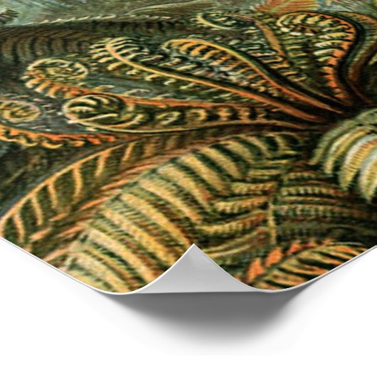 Ferns Palm Tree Antique Botanischer Garten Poster (Ecke)