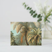 Ferns Palm Tree Antique Botanischer Garten Postkarte (Stehend Vorderseite)