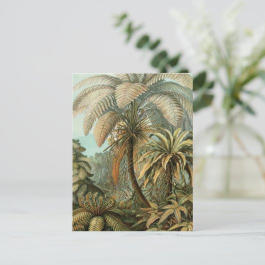 Ferns Palm Tree Antique Botanischer Garten Postkarte (Stehend Vorderseite)