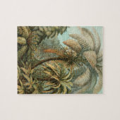 Ferns Palm Tree Antique Botanischer Garten Puzzle (Horizontal)