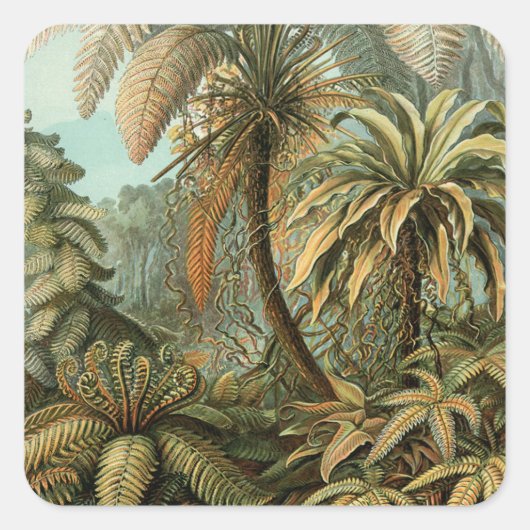 Ferns Palm Tree Antique Botanischer Garten Quadratischer Aufkleber (Vorderseite)