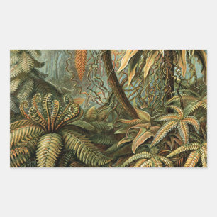 Ferns Palm Tree Antique Botanischer Garten Rechteckiger Aufkleber
