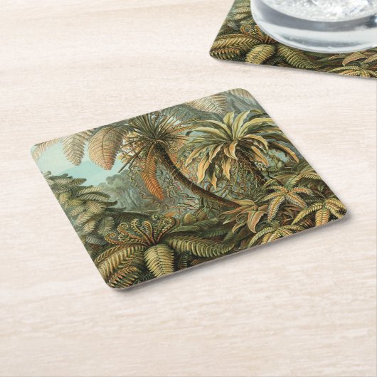 Ferns Palm Tree Antique Botanischer Garten Rechteckiger Pappuntersetzer (angewinkelt)