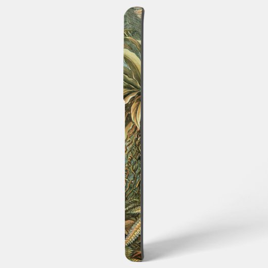 Ferns Palm Tree Antique Botanischer Garten Samsung Galaxy Hülle (Rückseite (Horizontal))