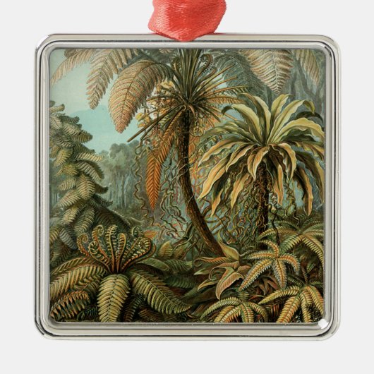 Ferns Palm Tree Antique Botanischer Garten Silbernes Ornament (Vorne)