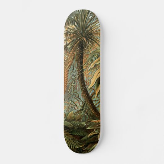 Ferns Palm Tree Antique Botanischer Garten Skateboard (Vorderseite)