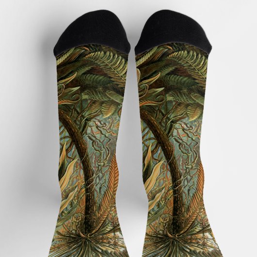 Ferns Palm Tree Antique Botanischer Garten Socken (Oben)
