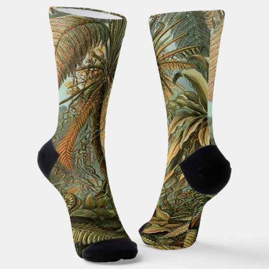 Ferns Palm Tree Antique Botanischer Garten Socken (Gewinkelt)