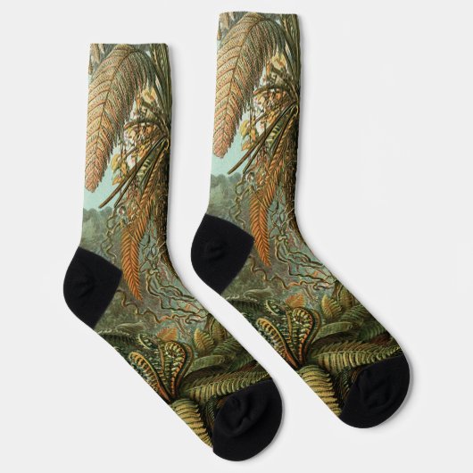 Ferns Palm Tree Antique Botanischer Garten Socken (Rechts)
