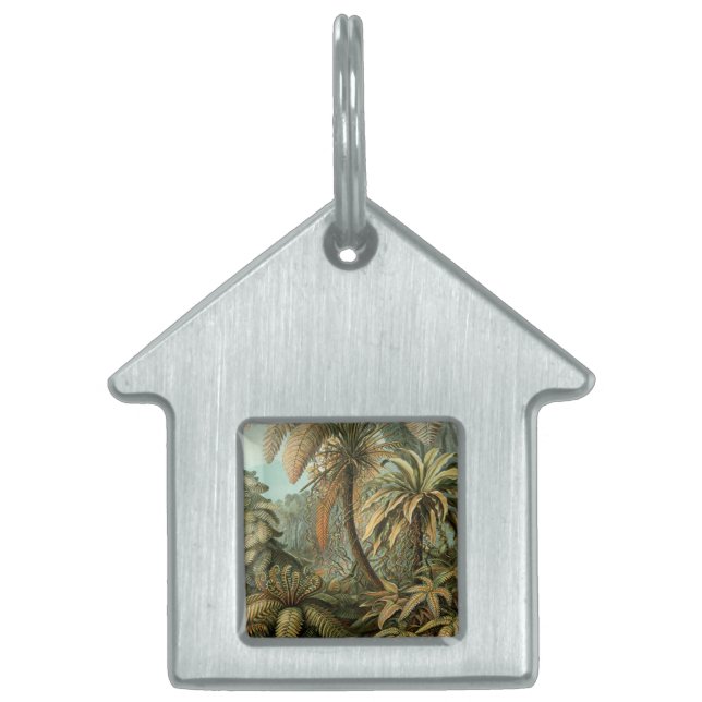 Ferns Palm Tree Antique Botanischer Garten Tiermarke (Vorderseite)