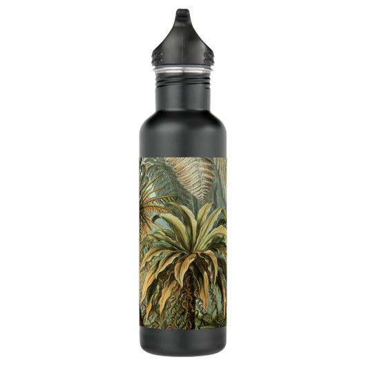 Ferns Palm Tree Antique Botanischer Garten Trinkflasche (Rechts)