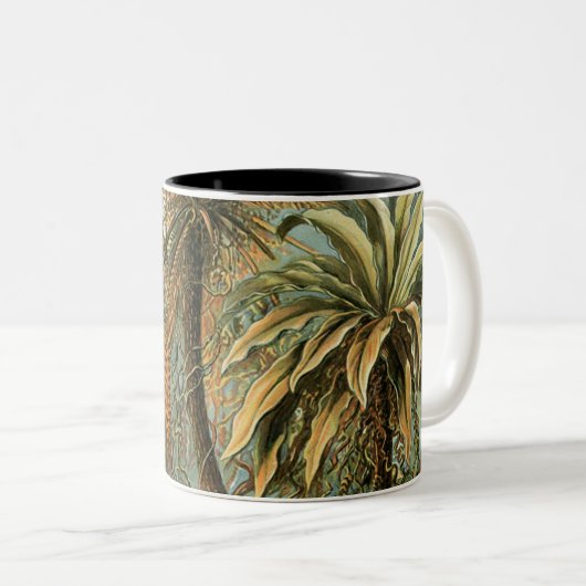 Ferns Palm Tree Antique Botanischer Garten Zweifarbige Tasse (VorderseiteRechts)