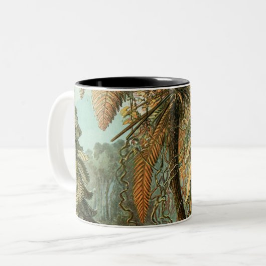 Ferns Palm Tree Antique Botanischer Garten Zweifarbige Tasse (Vorderseite Links)