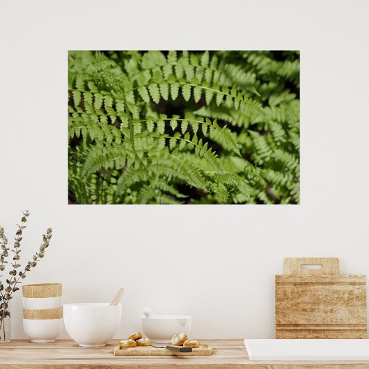 Ferns Poster (Küche)
